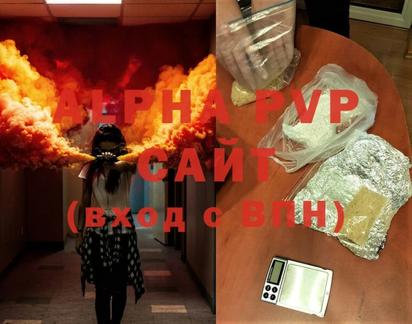 прущие грибы Абинск
