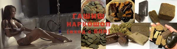 прущие грибы Абинск