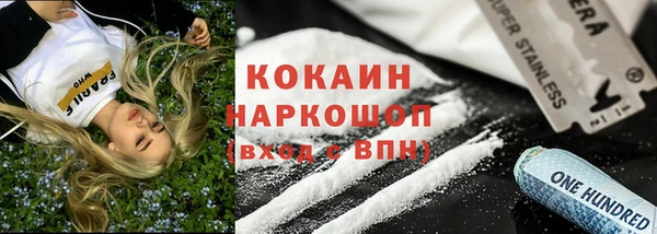 прущие грибы Абинск