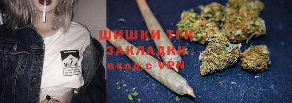 прущие грибы Абинск